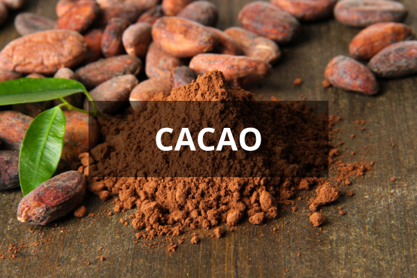 Cacao